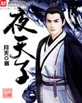 小说《夜天子》经典语录文案和名句摘抄