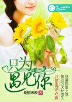 小说《只为遇见你》经典语录文案和名句摘抄