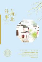 小说《南北往事》经典语录文案和名句摘抄