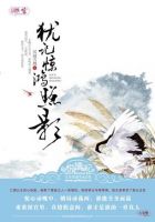 小说《犹记惊鸿照影》经典语录文案和名句摘抄