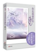 小说《你是我最好的遇见》经典语录文案和名句摘抄