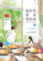 小说《我在等，等风等你来2》经典语录文案和名句摘抄