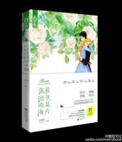 小说《花开是片落泪的海》经典语录文案和名句摘抄
