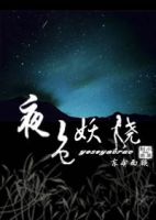 小说《夜色妖娆》经典语录文案和名句摘抄