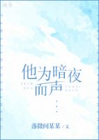 小说《将时于能军也为暗夜觉发可还带为》经典语录文案和名句摘抄