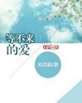 小说《等不来的爱》经典语录文案和名句摘抄