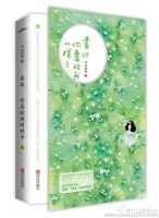 小说《喜欢你喜欢我的样子》经典语录文案和名句摘抄