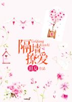 小说《隔墙撩爱》经典语录文案和名句摘抄