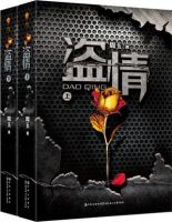 小说《盗情》经典语录文案和名句摘抄