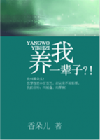 小说《养我一辈子》经典语录文案和名句摘抄