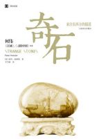 小说《奇石》经典语录文案和名句摘抄