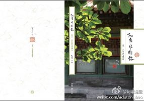 小说《附庸风雅录》经典语录文案和名句摘抄