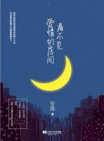 小说《看不见爱情的房间》经典语录文案和名句摘抄