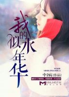 小说《我的似水年华》经典语录文案和名句摘抄