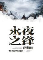 小说《永夜之锋》经典语录文案和名句摘抄