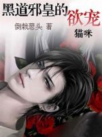 小说《黑道邪皇的欲宠猫咪》经典语录文案和名句摘抄