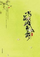 小说《飞花溅玉录》经典语录文案和名句摘抄