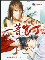 小说《一等家丁》经典语录文案和名句摘抄