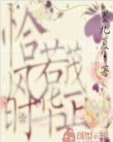 小说《恰若风华正茂时》经典语录文案和名句摘抄