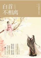 小说《白首不相离》经典语录文案和名句摘抄