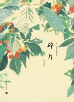 小说《碎片》经典语录文案和名句摘抄