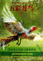 小说《五彩龙鸟》经典语录文案和名句摘抄