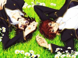 小说《你是男的我也爱》经典语录文案和名句摘抄