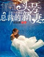 小说《第一名媛，总裁的头号新妻》经典语录文案和名句摘抄