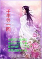 小说《千年等一回》经典语录文案和名句摘抄