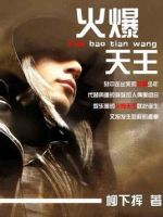 小说《火爆天王》经典语录文案和名句摘抄