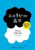 小说《无比美妙的痛苦》经典语录文案和名句摘抄