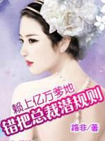 小说《赖上亿万爹地：错把总裁潜规则》经典语录文案和名句摘抄