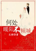 小说《何处暖阳不倾城》经典语录文案和名句摘抄