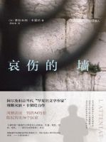 小说《哀伤的墙》经典语录文案和名句摘抄