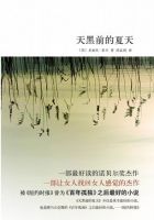 小说《天黑前的夏天》经典语录文案和名句摘抄