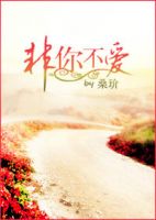 小说《非你不爱》经典语录文案和名句摘抄