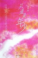 小说《只道是年少》经典语录文案和名句摘抄