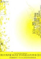 小说《君如陌上尘》经典语录文案和名句摘抄