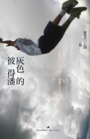 小说《灰色的彼得潘》经典语录文案和名句摘抄