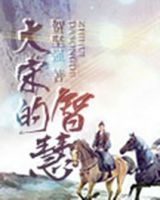 小说《大宋的智慧》经典语录文案和名句摘抄