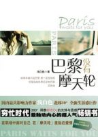 小说《巴黎没有摩天轮》经典语录文案和名句摘抄