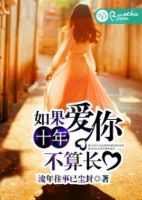 小说《如果爱你十年不算长》经典语录文案和名句摘抄