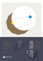 小说《流浪苍穹》经典语录文案和名句摘抄