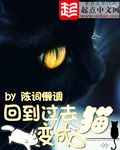 小说《回到过去变成猫》经典语录文案和名句摘抄