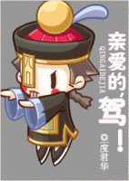 小说《亲爱的，驾！》经典语录文案和名句摘抄