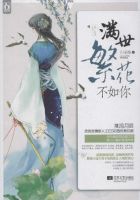 小说《满世繁花不如你》经典语录文案和名句摘抄