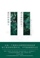 小说《最好的年华，遇见最好的你》经典语录文案和名句摘抄