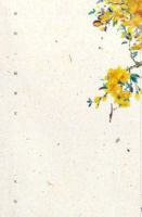 小说《我的一个朋友》经典语录文案和名句摘抄