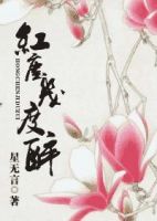 小说《红尘几度醉》经典语录文案和名句摘抄