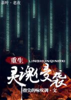 小说《灵魂侵袭》经典语录文案和名句摘抄